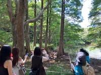 [Fukuoka / Sasaguri] A Private, Instagram-Worthy Tour of Celestial Views and Forest Cafes - Thumbnail 2