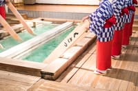 Sesión de fotos privada de 1 hora en Kinugawa Onsen - Thumbnail 1