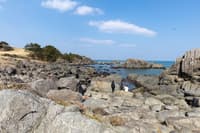 与当地摄影师一同探访八户秘境：館花码头晨市与海岸风光漫步 - Thumbnail 14