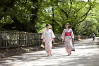 Sesión de fotos privada de 1 hora en Miyanoshita/Kowakudani Onsen - Thumbnail 1