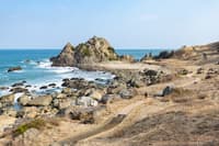 与当地摄影师一同探访八户秘境：館花码头晨市与海岸风光漫步 - Thumbnail 15