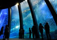 Sesión de fotos privada de 1 hora en Yokohama Hakkeijima Sea Paradise - Thumbnail 2