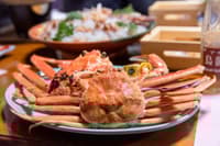 Tour Nocturno de Bares en la Prefectura de Fukui - Thumbnail 1