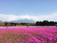 Sesión de fotos privada de 1 hora en Shizuoka - Thumbnail 2