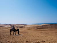 Sesión de fotos privada de 1 hora en Tottori - Thumbnail 4