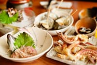 Shizuoka Prefecture Bar Hopping Night Tour - Thumbnail 7