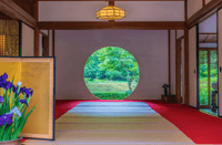 Private Kamakura Walking Tour – Zen Temples & Nature in North Kamakura - Thumbnail 3