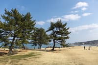 与当地摄影师一同探访八户秘境：館花码头晨市与海岸风光漫步 - Thumbnail 13