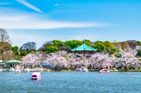 Sesión de fotos privada de 1 hora en Ueno - Thumbnail 5