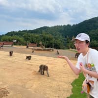 Tour a pie por Arashiyama, Kioto - Thumbnail 6