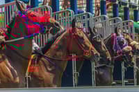 Tour Guiado Carreras de Caballos en Japón - Thumbnail 4