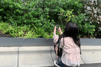 Fotos Increíbles con tu Móvil en Tokio (1h) - Thumbnail 5