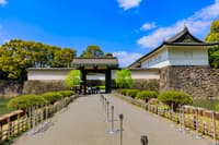 Tour Palacio Imperial y Castillo Edo en Tokio - Thumbnail 2