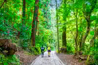 Tokyo Takao Mountain Hiking & Onsen Tour - Thumbnail 3