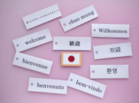 Servicio Intérprete+Guía Tokio/Osaka - Thumbnail 4