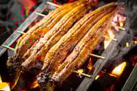 Fukuoka Tenjin: Tapeo por bares locales - Thumbnail 5