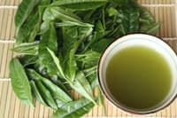 Experiencia Privada de Recolección de Té en Shizuoka - Thumbnail 1