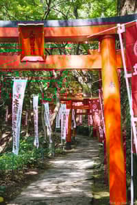 Tour a pie de 1 día en Hakata - Thumbnail 2