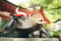 Tour Fukuoka: Dazaifu y Yanagawa - Thumbnail 2