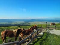 Sesión de fotos privada de 1 hora en Kumamoto - Thumbnail 2