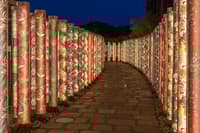 Tour de Fantasmas en Kioto: Noches en Bosque Bambú - Thumbnail 2