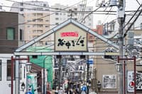 Antique Hunt: Discover Old Japan at Yanaka Flea Market – A Downtown Antique Walk with Mana - Thumbnail 3