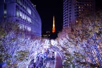 Sesión de fotos privada de 1 hora en Tokio - Yebisu Garden Place - Thumbnail 3