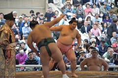 福冈相扑大赛