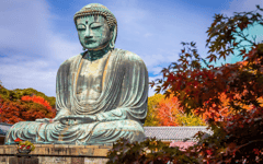 Tur Privat Kamakura & Enoden: Buddha, Kuil & Pantai