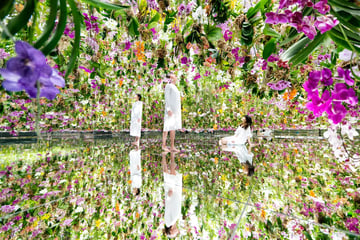 teamLab Planets TOKYO DMM Ticket