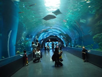 Maxell Aqua Park Shinagawa Ticket in Tokyo