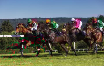 Japanese Horse Racing Tour with Guide