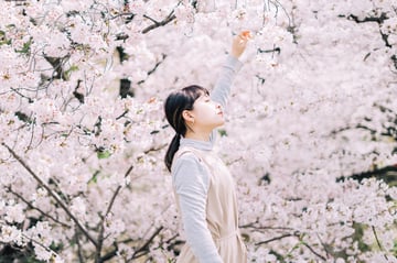 1 Hour Private Photoshoot in Ueno