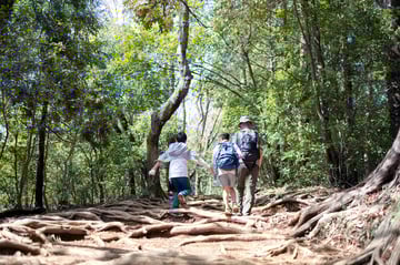 Mount Yufu Private Hiking Tour