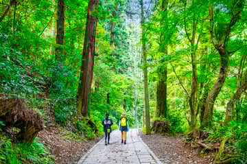 Tokyo Takao Mountain Hiking & Onsen Tour