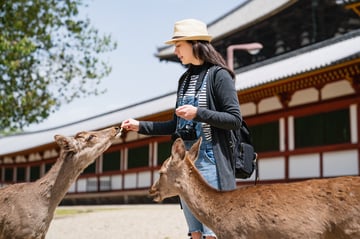 1 Hour Private Photoshoot in Nara