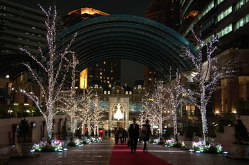 Tokyo Evening Food Tour in Ebisu