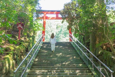 箱根三社參拜住宿方案現已於蘆之湖花織推出