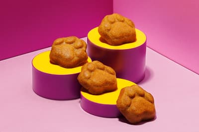 KOKUNEKO, 하카타에서 시즌 한정 "고쿠우마 안노 이모 휘낭시에" 출시