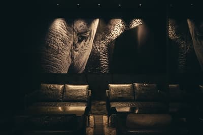 THE GREY ROOM Ginza 将举办一日限定客座活动，邀请 Bible Club Osaka 的调酒师藤本龙介和山本大辉