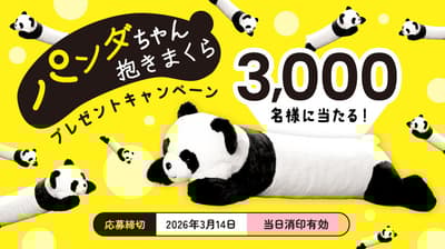 Nagatanien's Panda Body Pillow Campaign Now Running