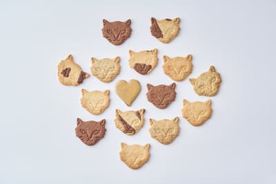 Fairycake Fair Revela Dulces de Chocolate × Caramelo en la Expo de Chocolate de San Valentín de Hankyu Umeda 2026