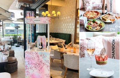 Spring Terrace Sets at TO THE HERBS Shibuya Feature Chandon Rosé and Neapolitan Pizza