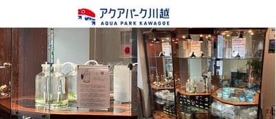 Floating Algae "FUYUSO" Now on Sale at Aqua Park Kawagoe