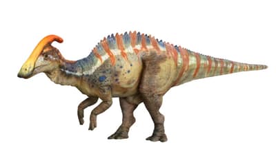 DINO SAFARI 2026 Brings Parasaurolophus Debut and Life-Sized Dinosaurs to Shibuya This Golden Week