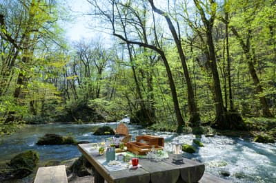 Picnic de Brotes en Oirase en el Hoshino Resorts Oirase Keiryu Hotel: Experiencia Limitada Entre Más de 100 Especies de Árboles en Brote