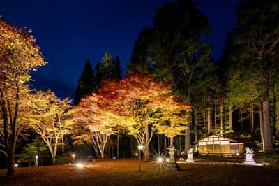 Experience a Different World at 1,000m Elevation - Okuhida Onsen's Autumn Foliage Illumination Begins