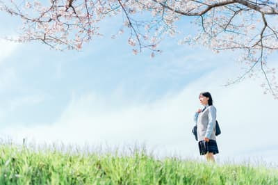 Shizukuishi Prince Hotel Offers Limited-Time Spring Plan Featuring the Pomme Pomme Fair