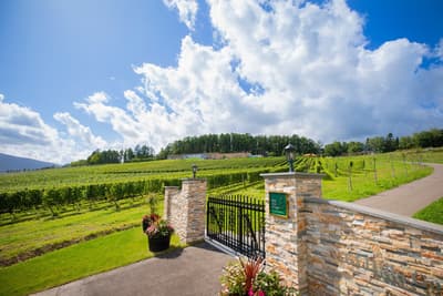 El JR Tower Hotel Nikko Sapporo Lanza la Tercera Colección Privada de Vinos de la Bodega NIKI Hills a Partir del 1 de Abril