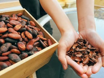 Hakone Kowakien Yunessun Offers Sustainable Cacao Husk Bath Experience for Valentine's Season